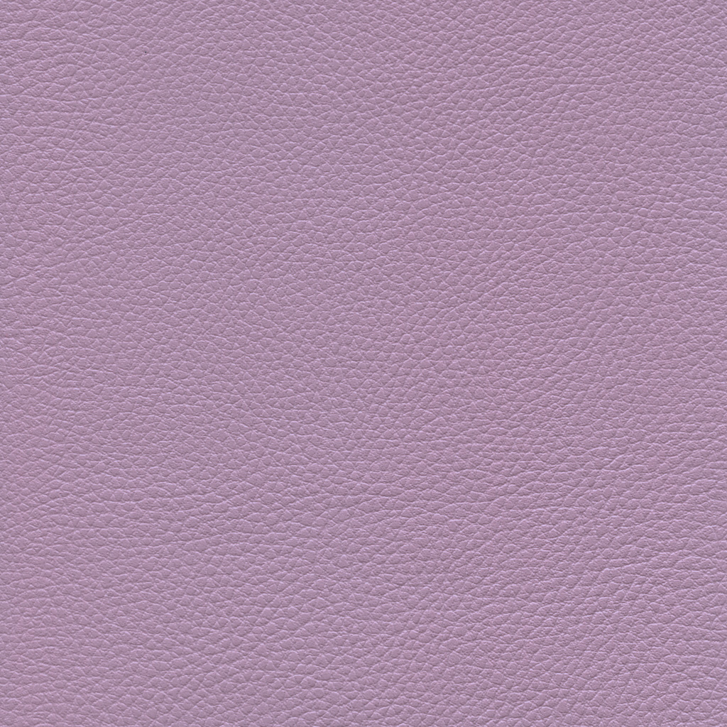 Lilas | Ginkgo