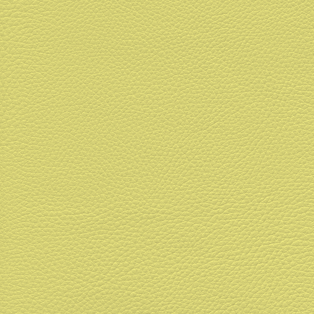 Endive | Ginkgo