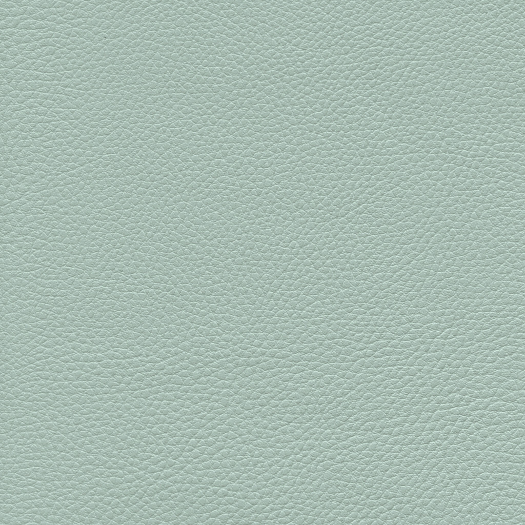 Glacier | Ginkgo