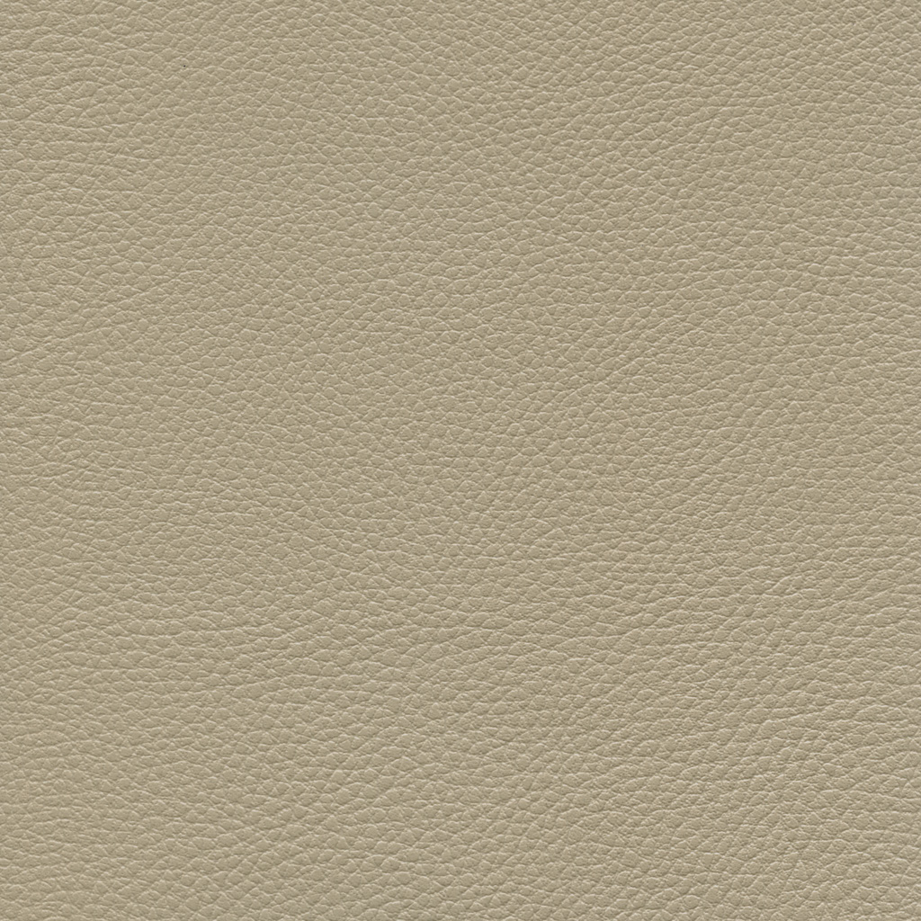Mastic | Ginkgo