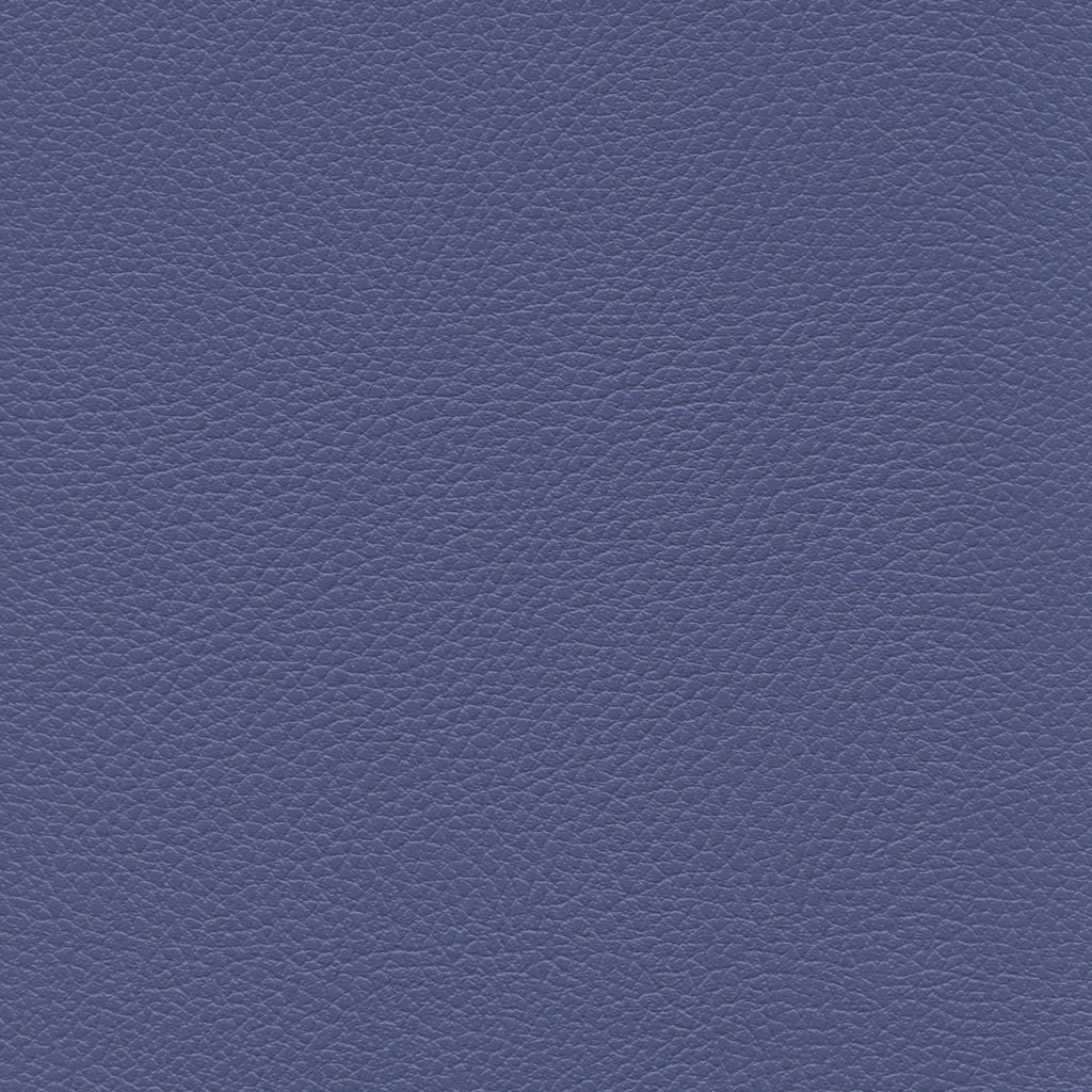 Lavande | Ginkgo