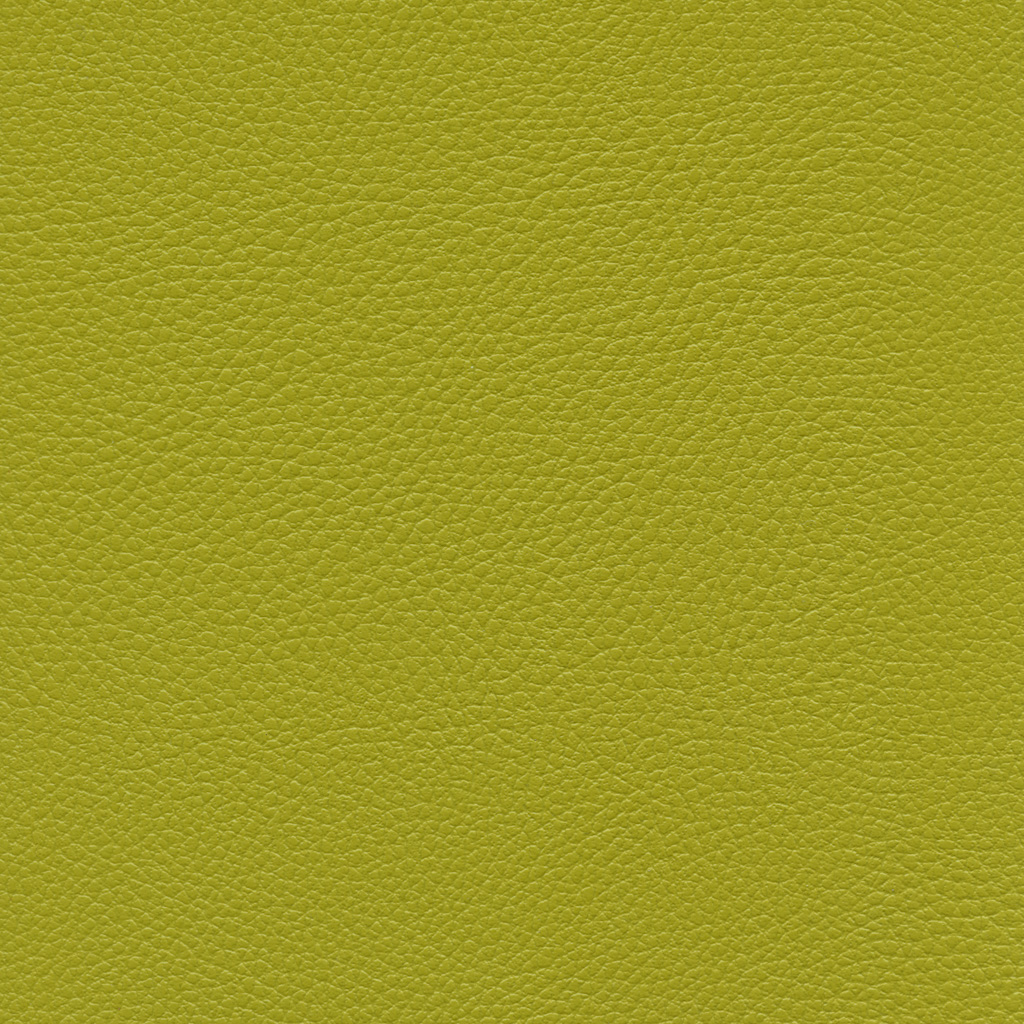 Granny | Ginkgo