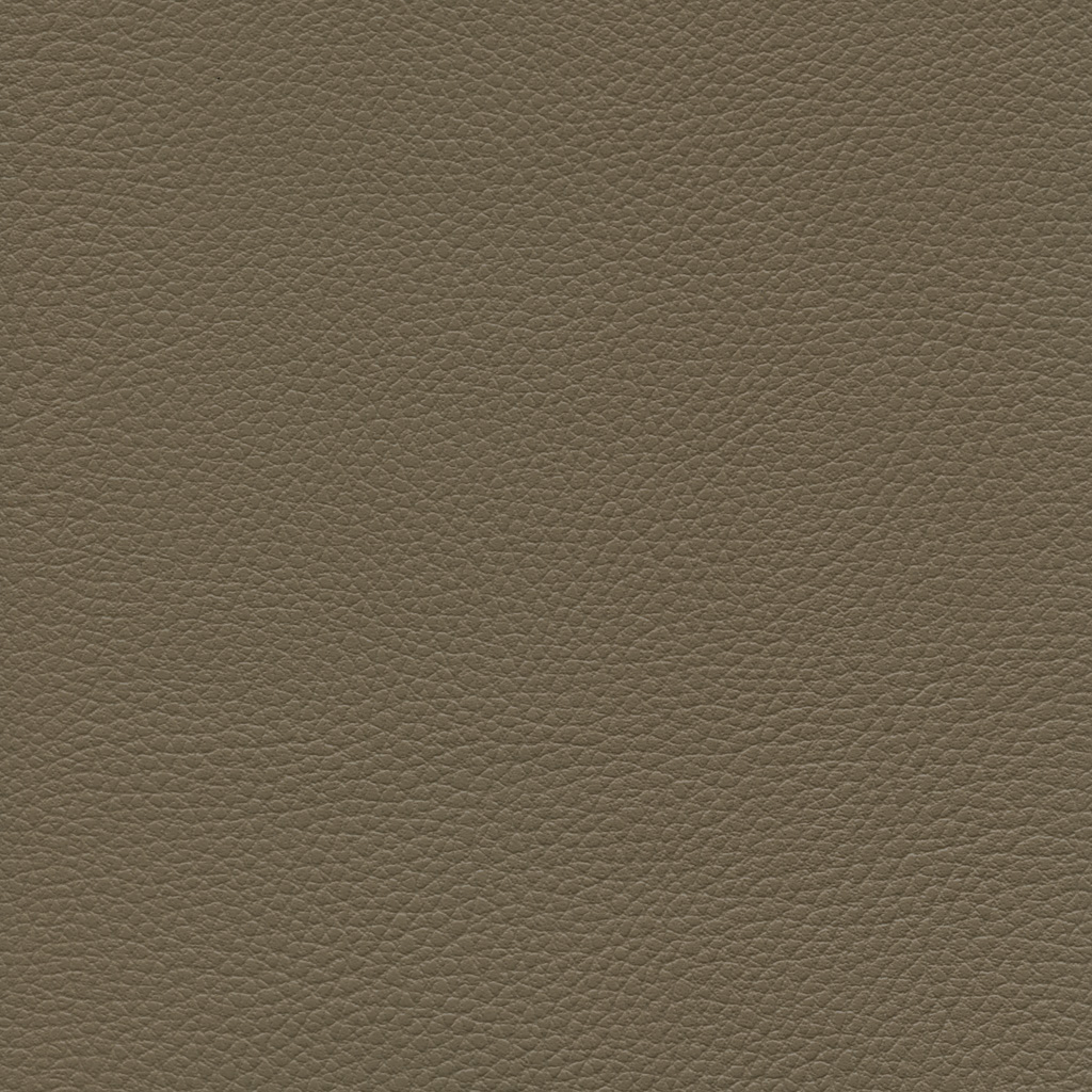 Terre | Ginkgo