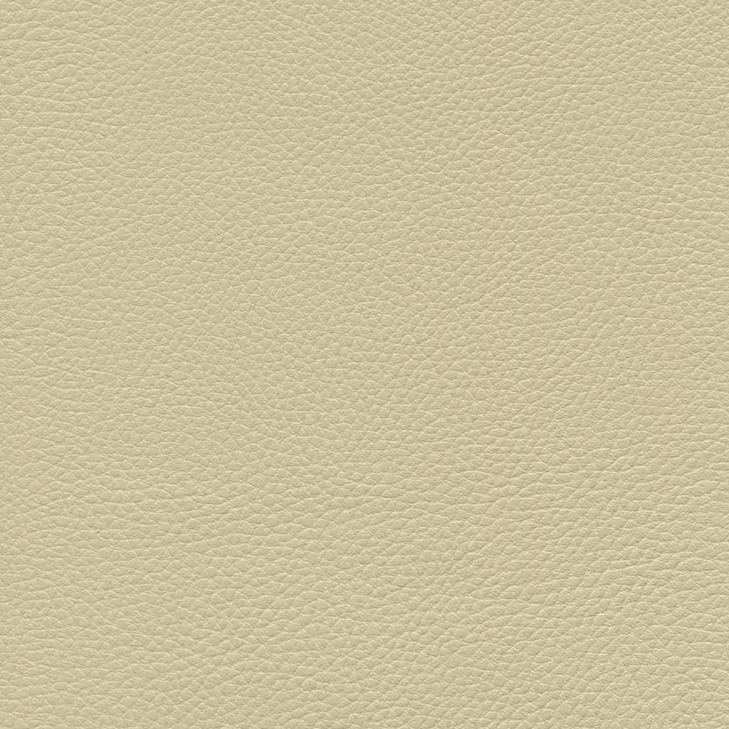Seigle | Ginkgo