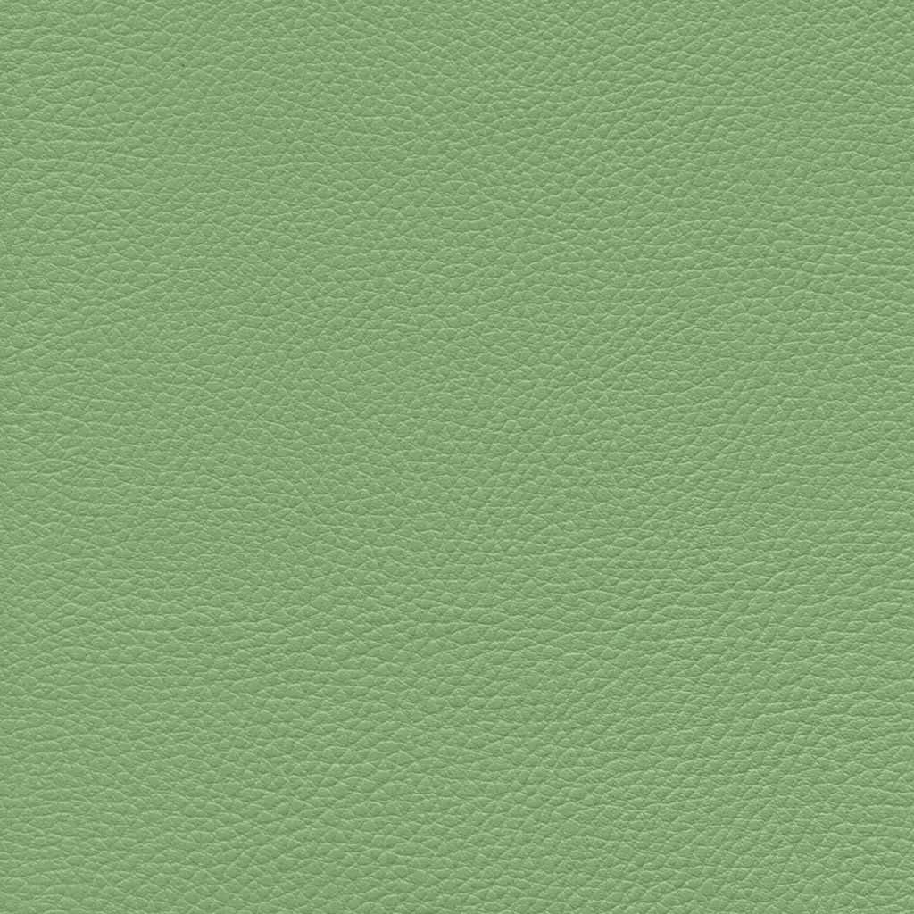 Menthe | Ginkgo