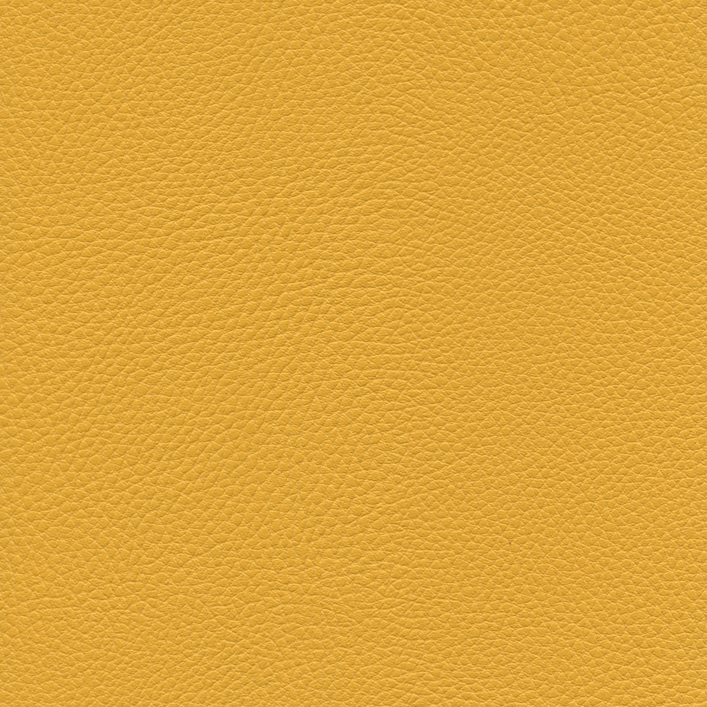 Mirabelle | Ginkgo