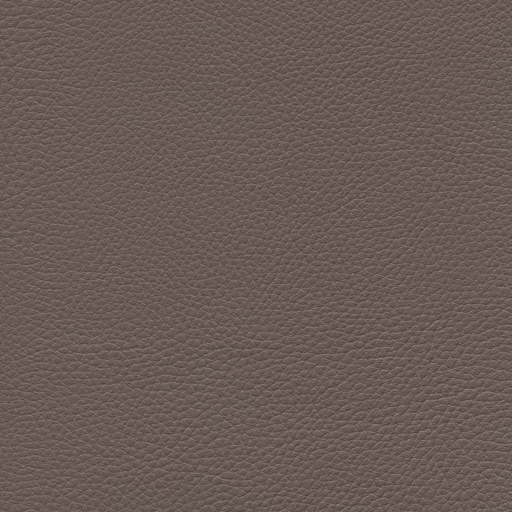 Taupe | Ginkgo