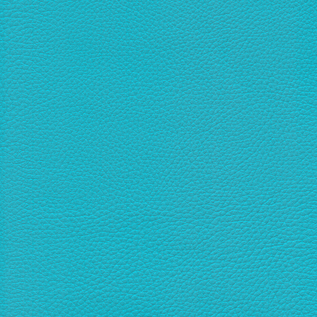 Turquoise | Ginkgo