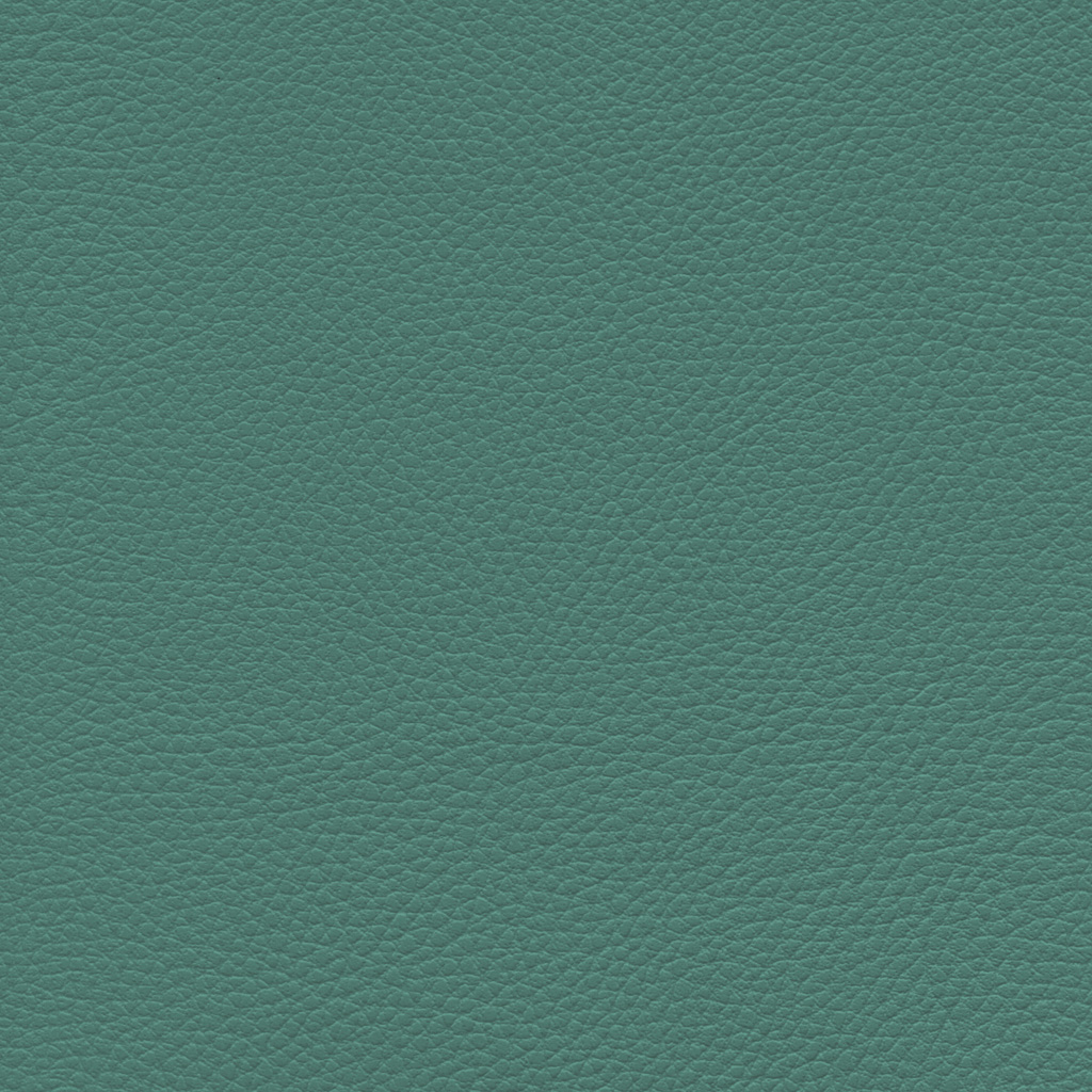 Vert | Ginkgo