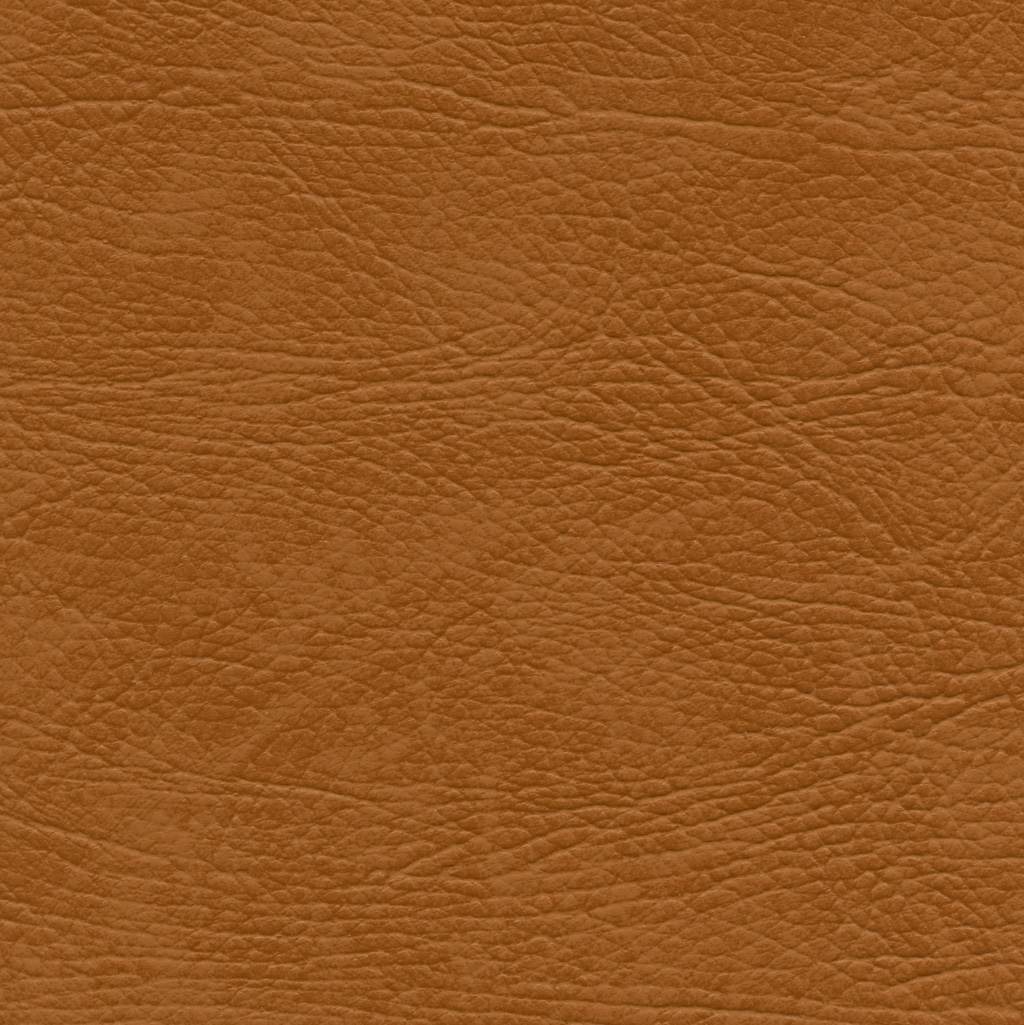 Camel | Select