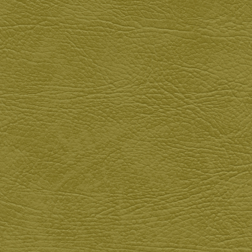 Kiwi | Select
