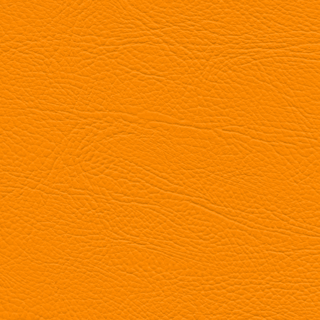 Mangue | Select