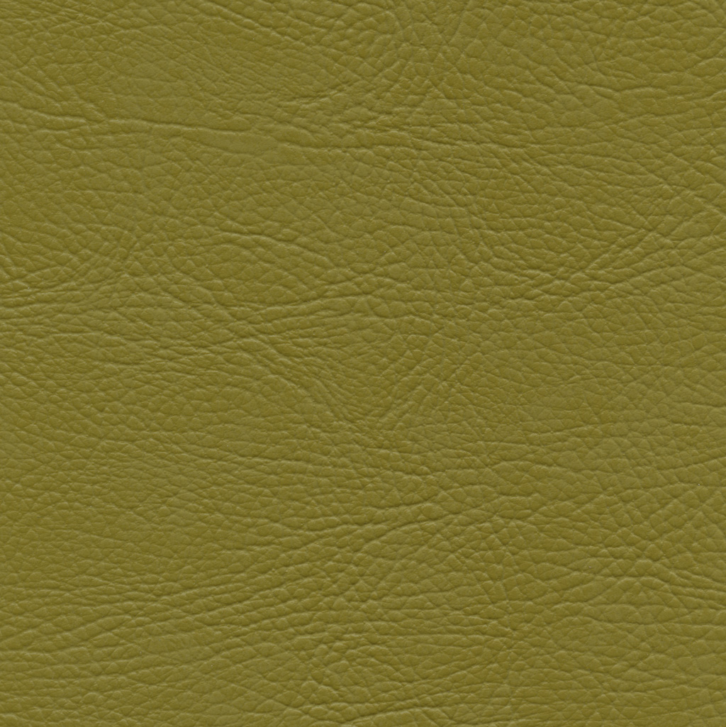 Olive | Select