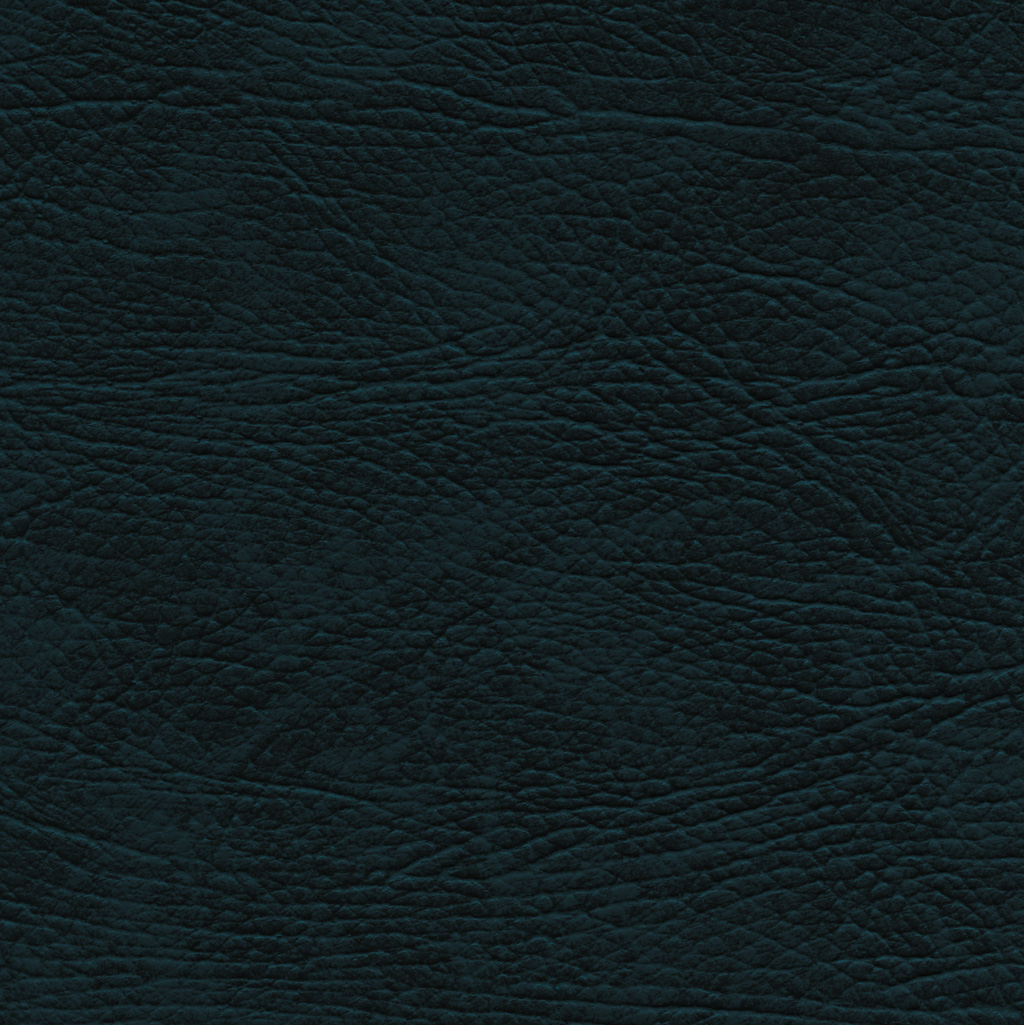 Navy | Select