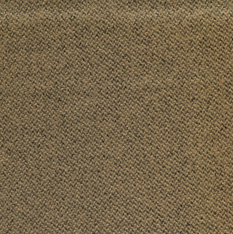 9555