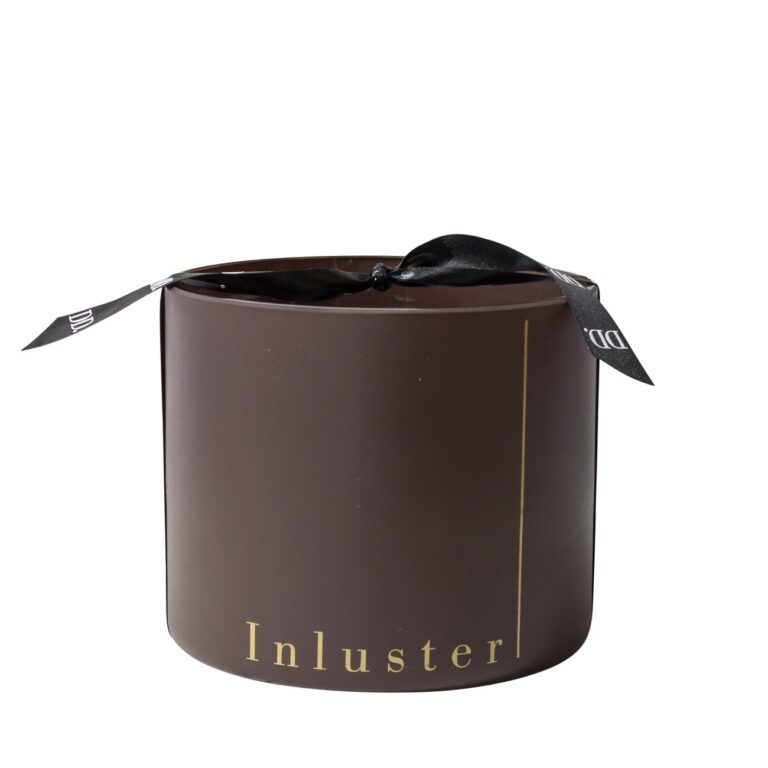 INLUSTER