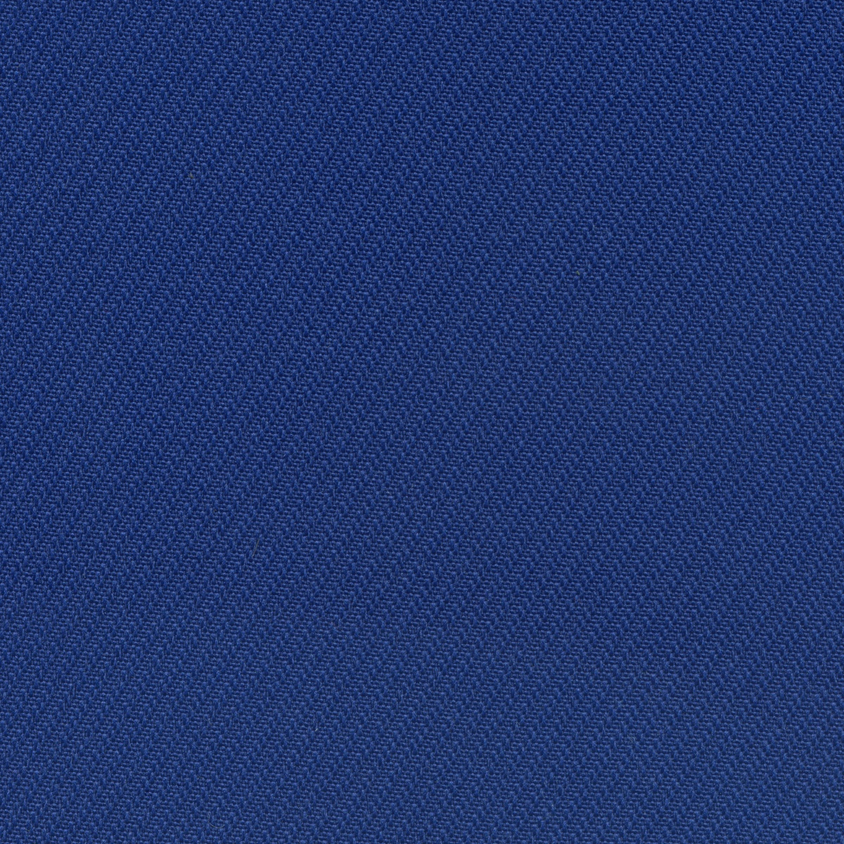 302 | Bio