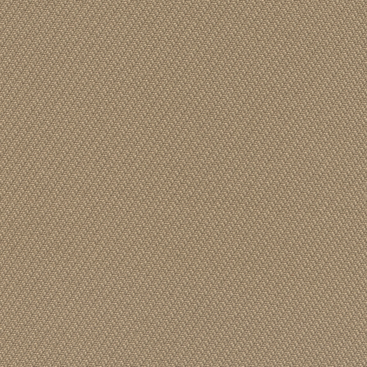 503 | Bio