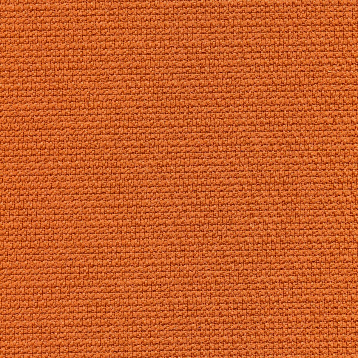 101