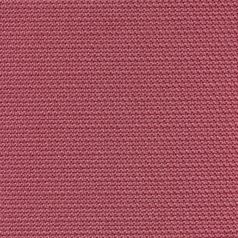 251