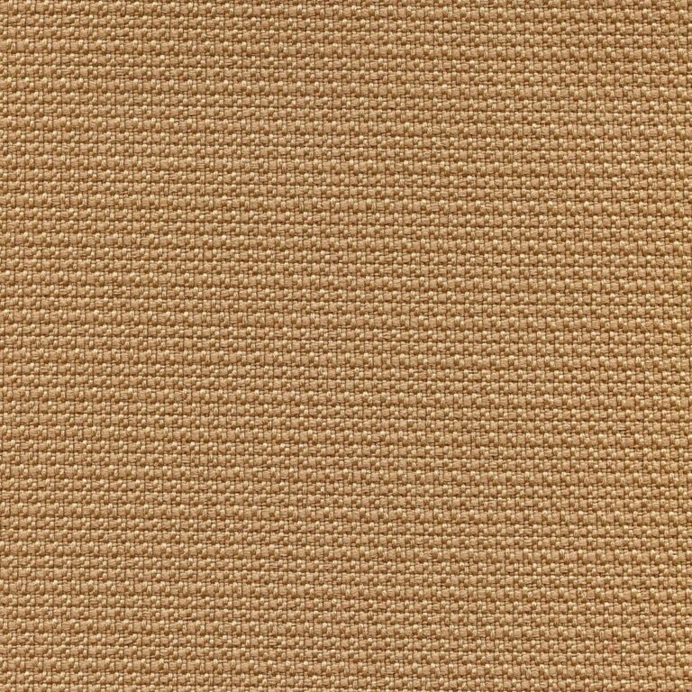 504