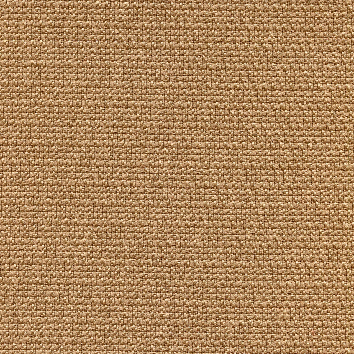 504