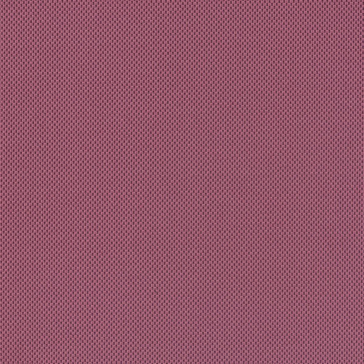 1157 | Convertstretch