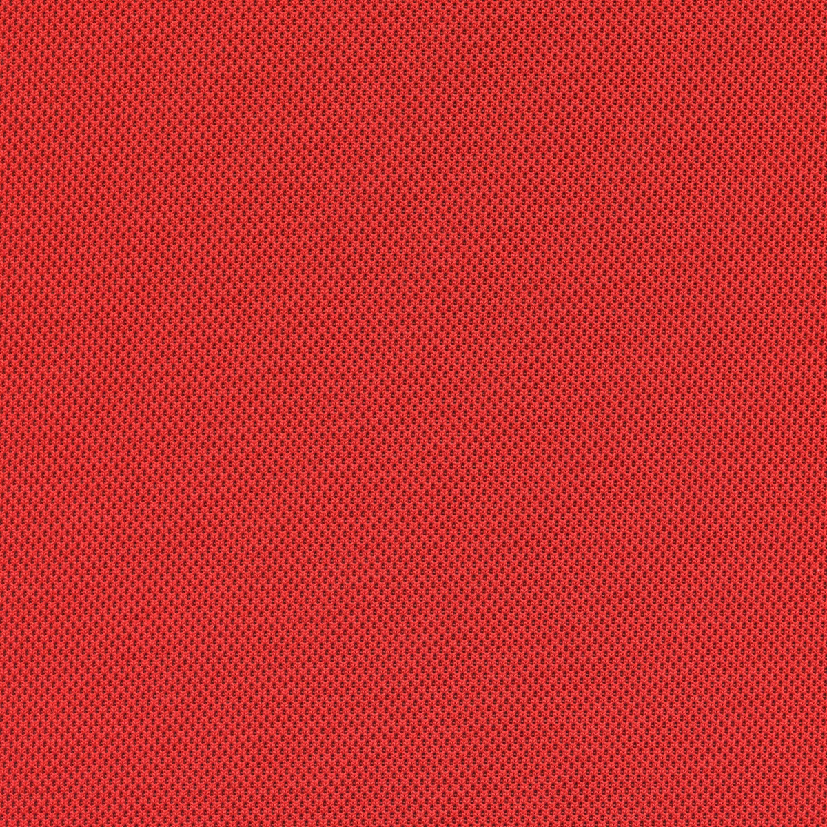 1204