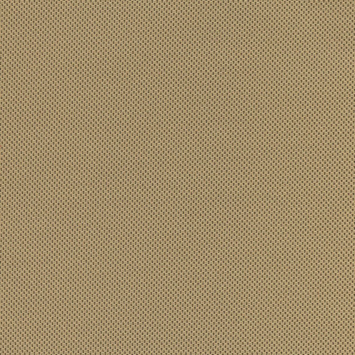1507 | Convertstretch