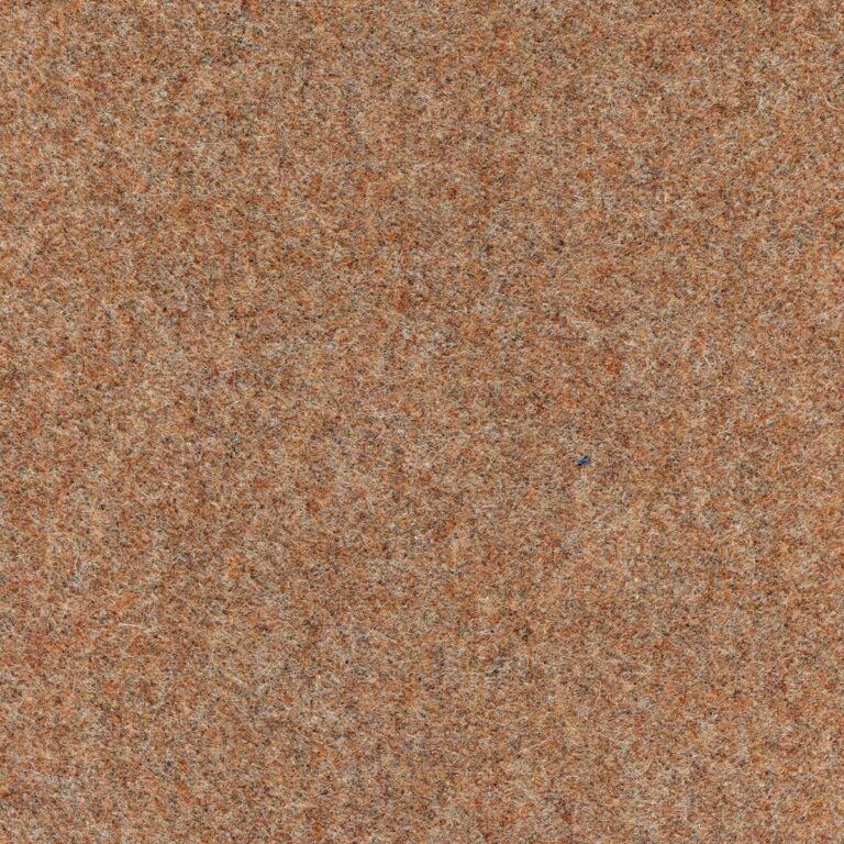 504