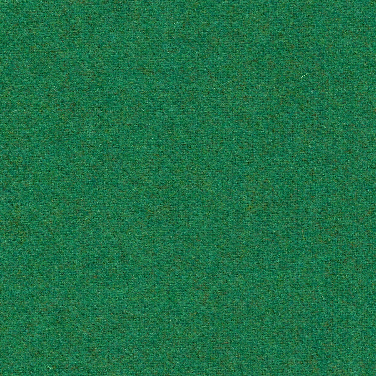 468 | Fenice