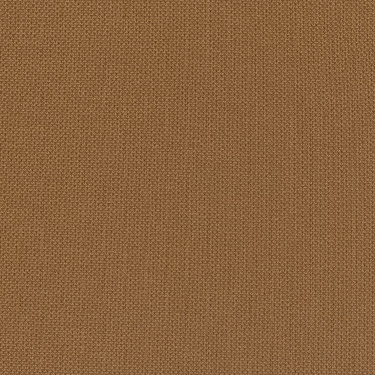 559