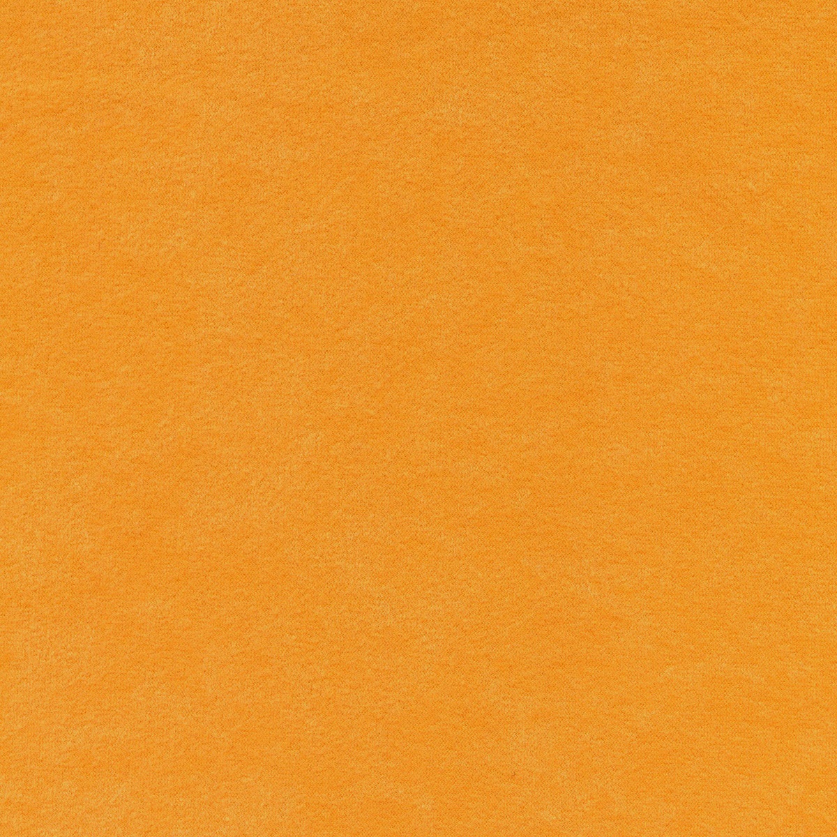 3053 | Gemma Vel