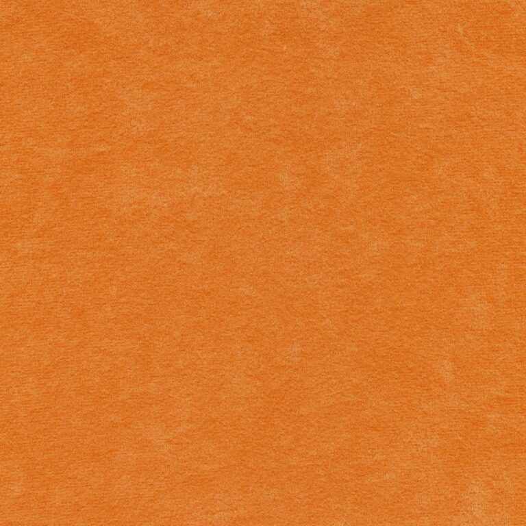 3101