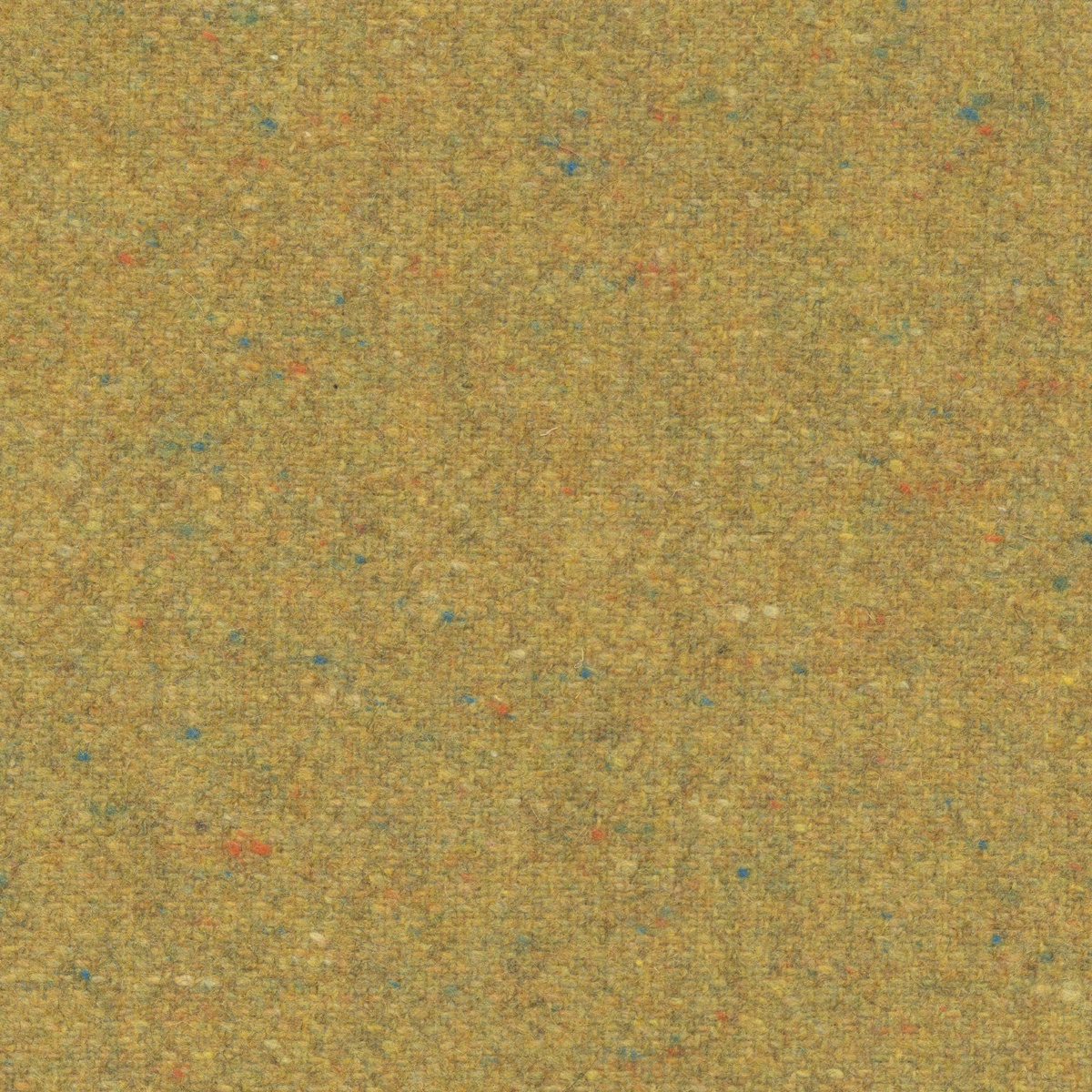 12051