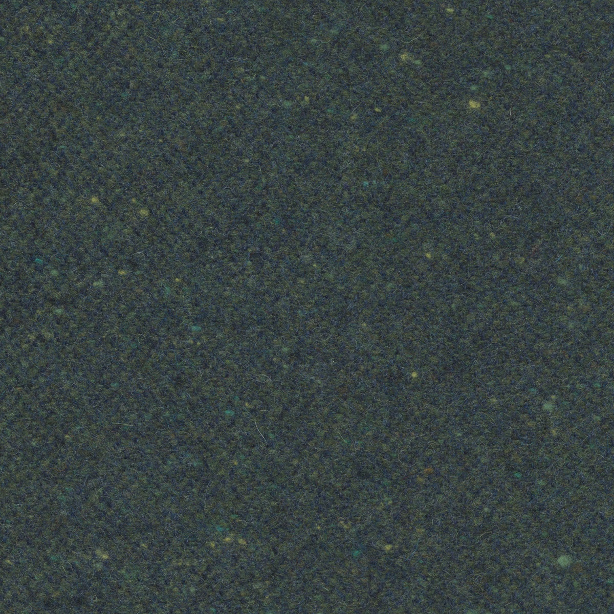 12451 | Jungla