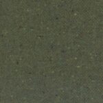12452 | Jungla
