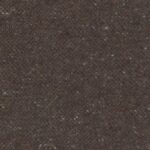 12552 | Jungla