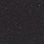 12651 | Jungla