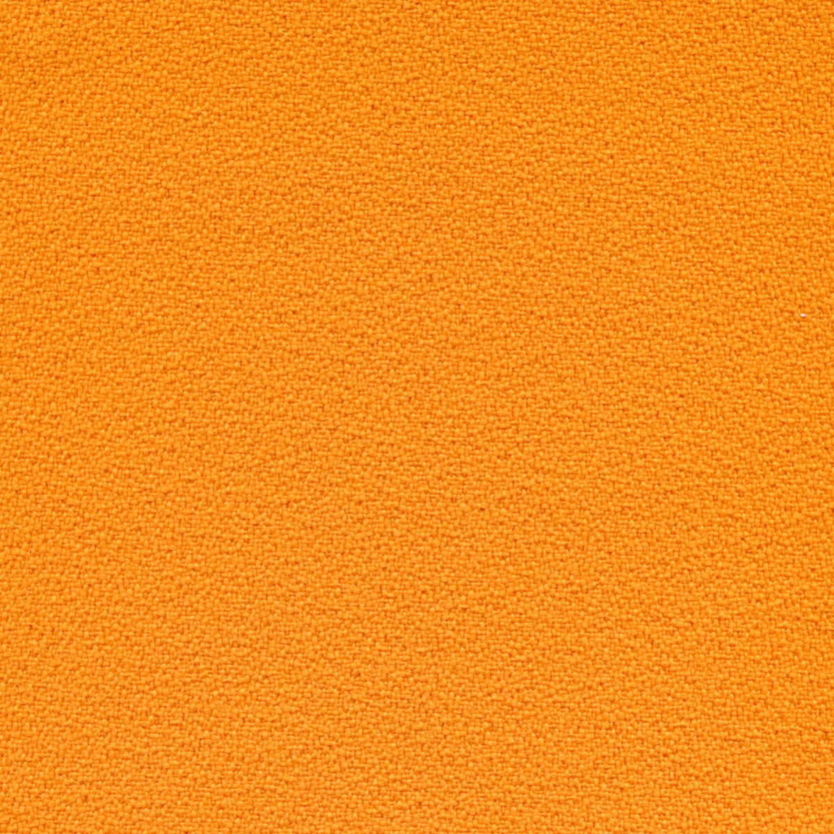 12066