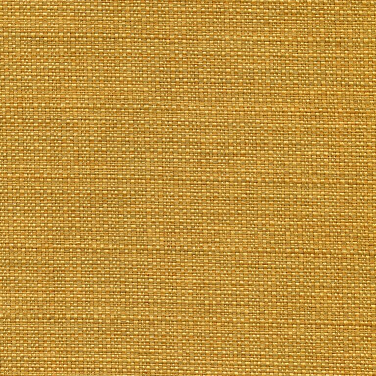 7053
