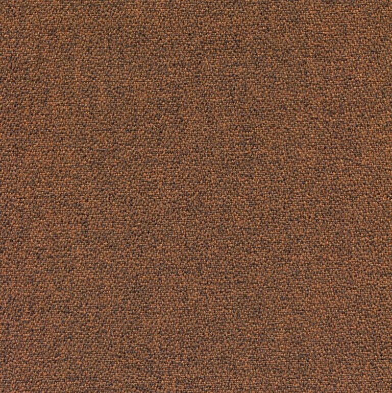5553