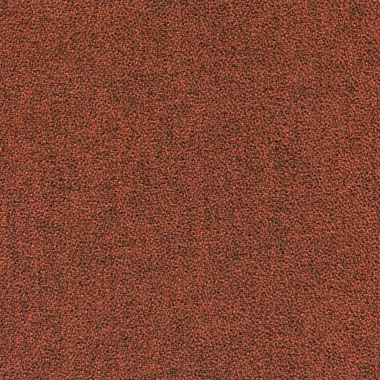 5554