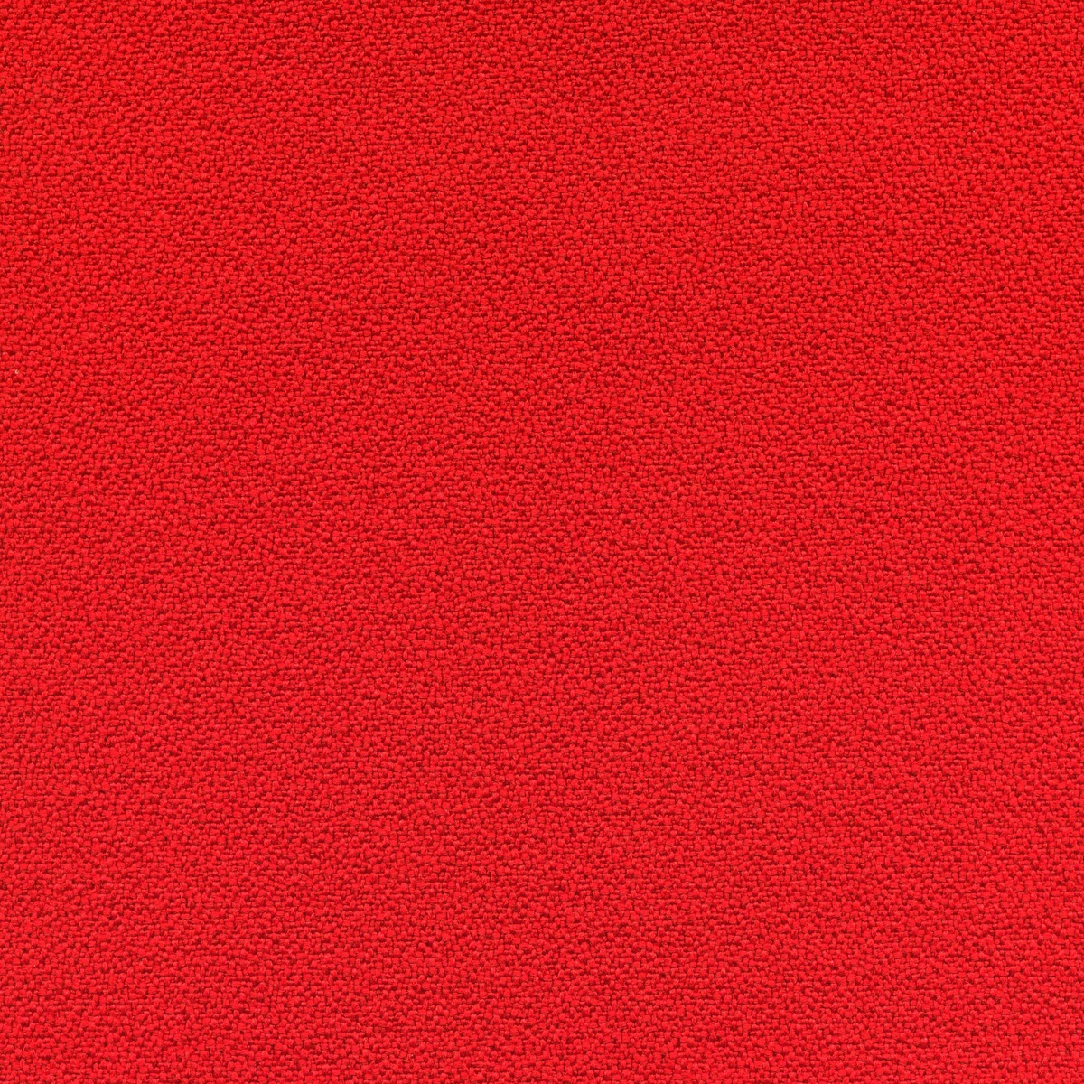 231