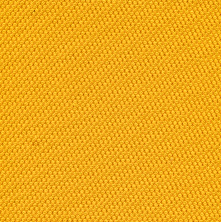 10068