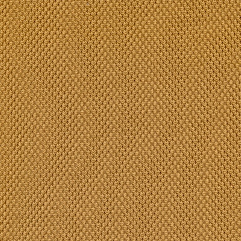 10529