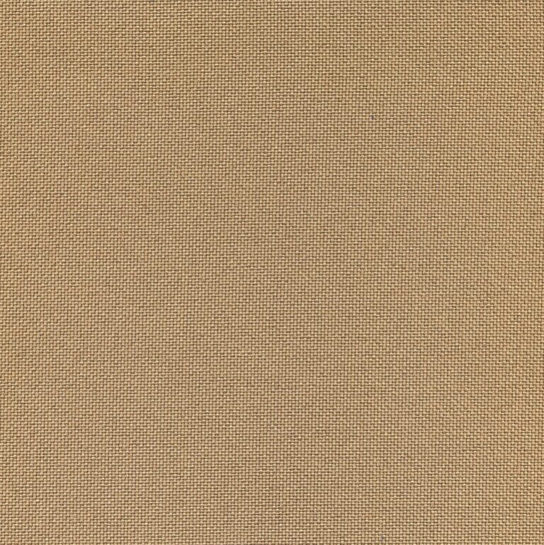 6533