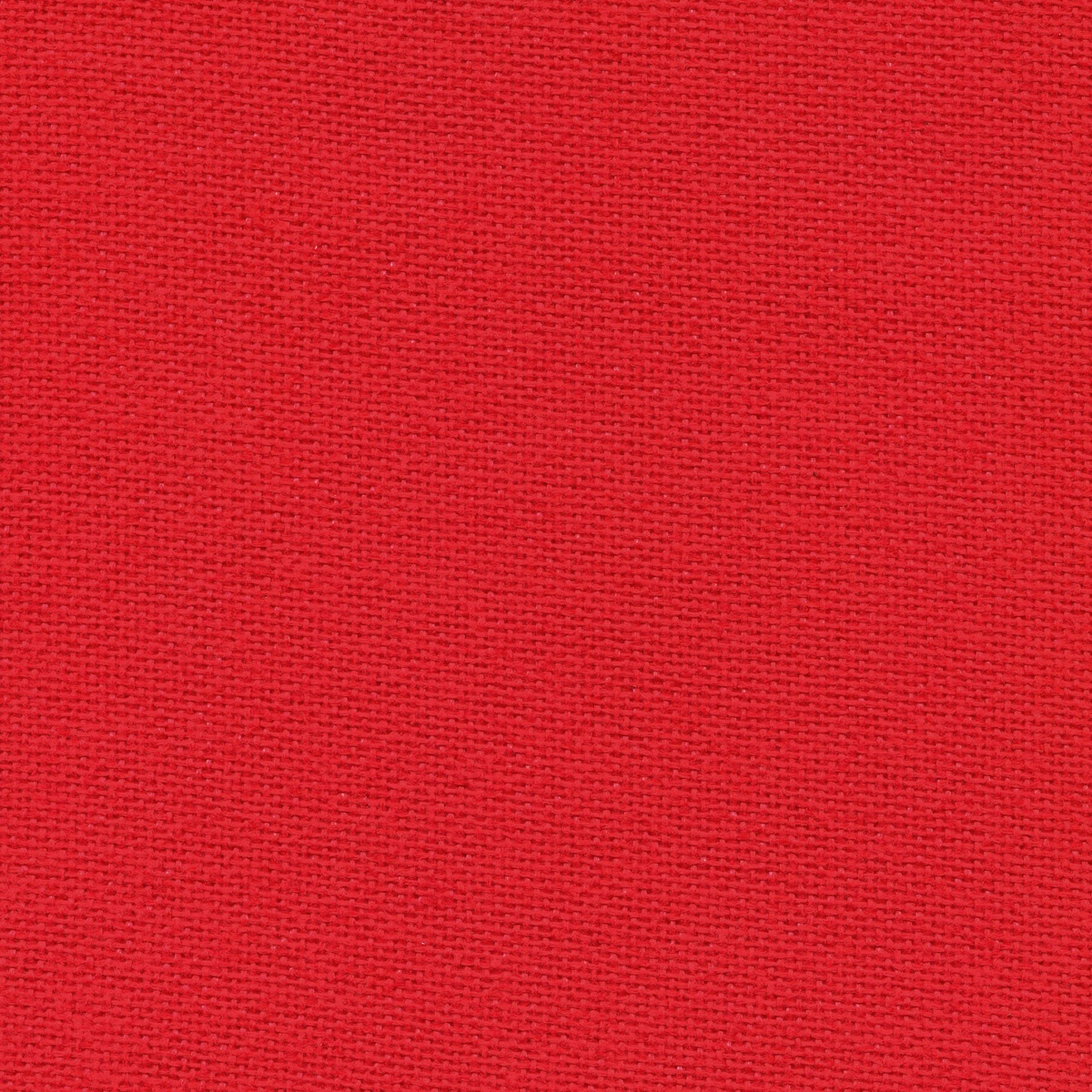209 | Nemi L