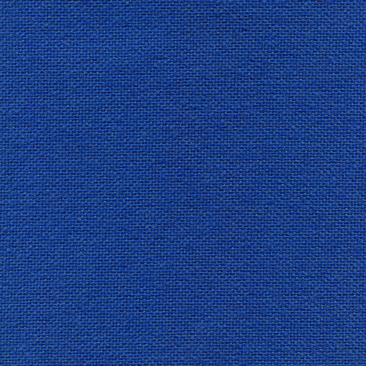 323 | Nemi L