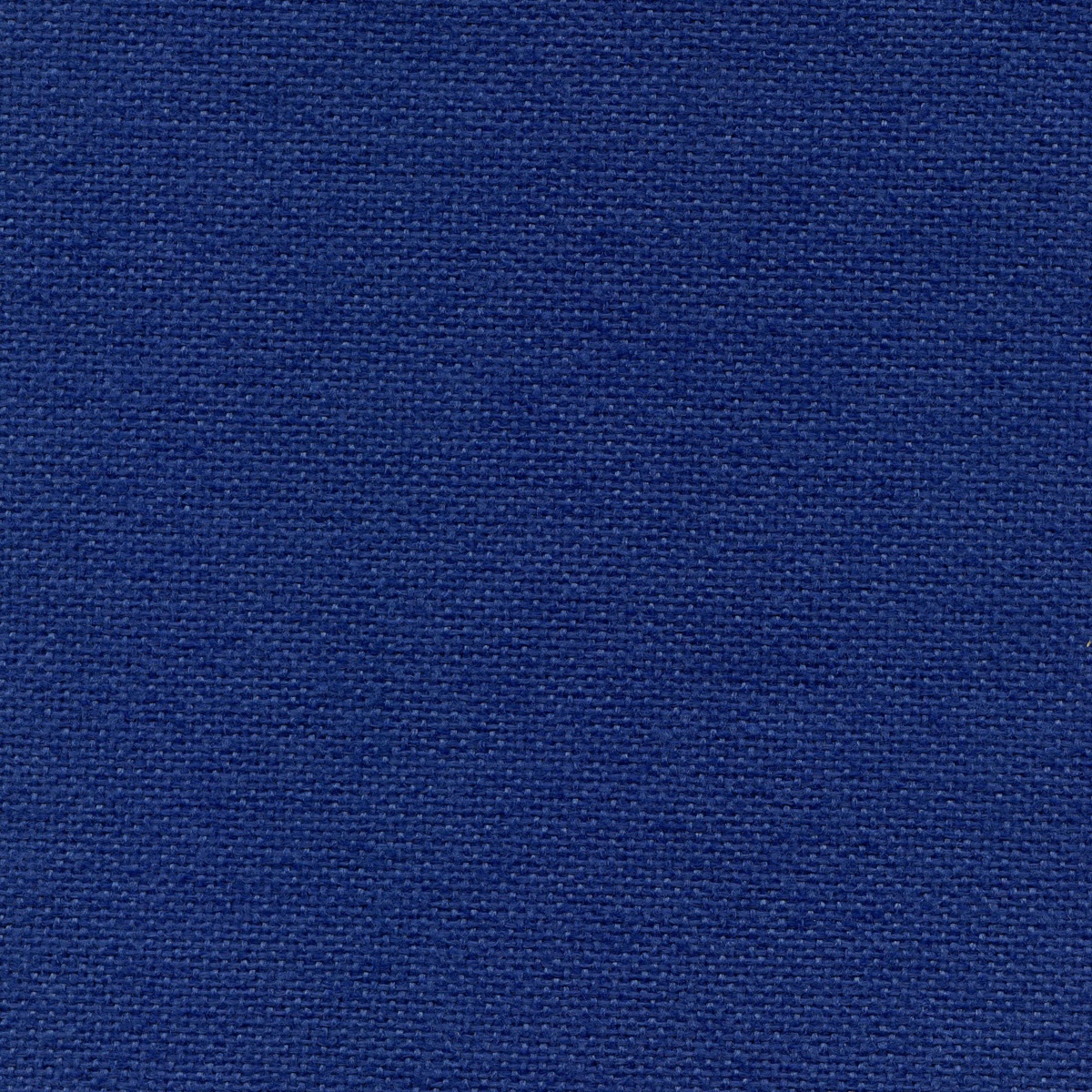 325 | Nemi L